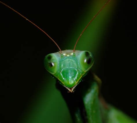 bkto kneler potraits bildekritikk diskusjonno