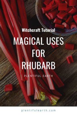 Magickal Correspondences Of Rhubarb A Materia Magicka