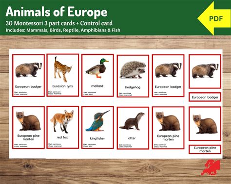 Montessori Animals Of Europe Part Cards And Fact Cards, 44% OFF