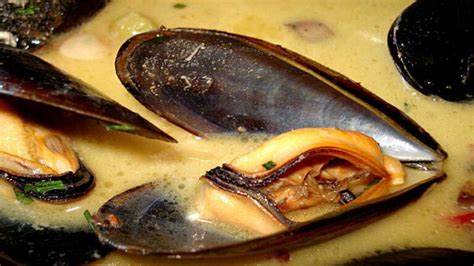 Moule Au Curry Recette Simple Et Facile E Savoir