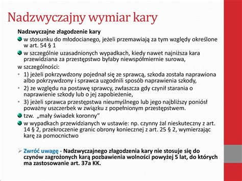 Wymiar Kary Dr Dagmara Gruszecka Ppt Pobierz