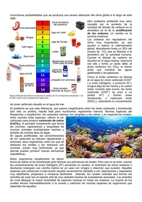 Acidificacion De Los Oceanos Pdf