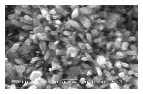 SEM images of ZnO film F1: (a) ZnO nanorods (NRs) with scale 1.0 μm and ...