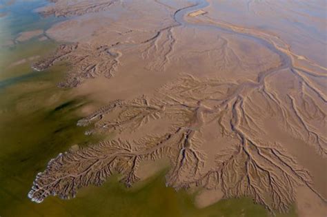 Collaboration For The Colorado River Delta Raise The River