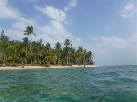 Conoce El Para So En Isla Lobos Veracruz Las Mejores Playas De