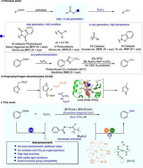 Introduction A Previous Reported Decarboxylative Borylation B