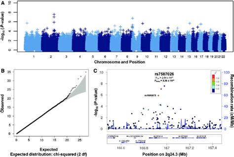 The Results Of Genome Wide Association Analysis In Mtlehs Fs In Download Scientific Diagram