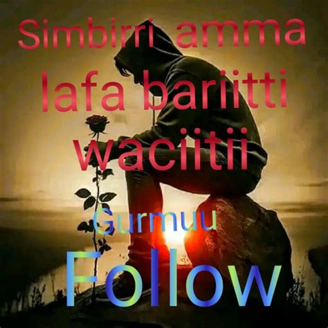 Jaal Lolaa