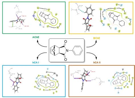 Identification Of HCA I HCA II AChE And BChE Inhibitory Properties Of