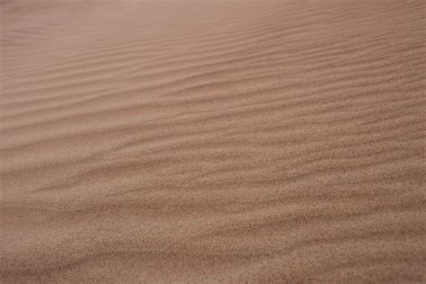 Free Images Nature Sand Abstract Wood Desert Dune Floor Ripple