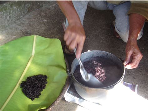 Tapuy Filipino Rice Wine How To Make Hubpages