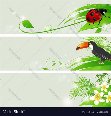 Green Nature Banners Royalty Free Vector Image