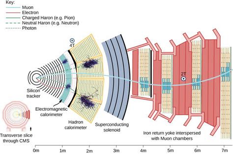 Particle Detectors Eyes Into The Subatomic World Alibava Systems