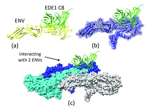 Figure A4 A The Crystal Structure Of Ede1 C8zikv E Complex Protein