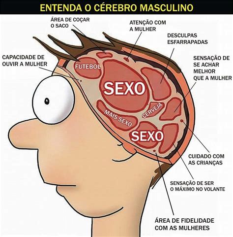 Fazbem Entenda O C Rebro Masculino