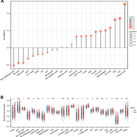 Associations Of Serp Expression And Immune Infiltration Level In Skcm