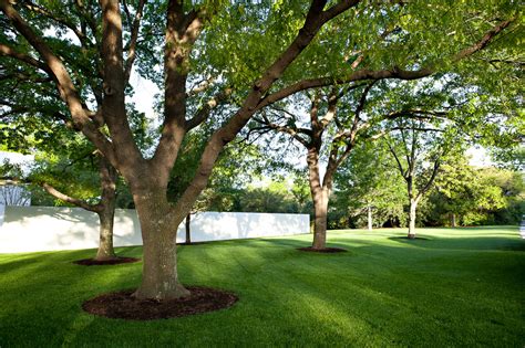 Tree Preservation - Southern Botanical