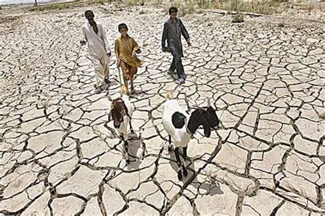 silent menace  desertification stratagem