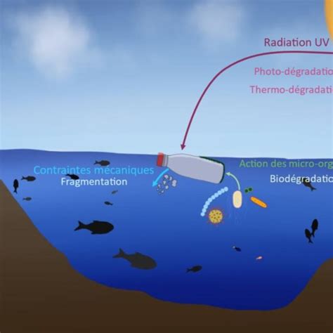 Phénomènes Impliqués Dans La Dégradation Des Déchets Plastiques Dans
