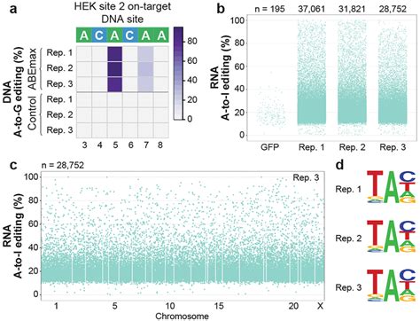 Transcriptome Wide Off Target Rna Editing Induced By Crispr Guided Dna Base Editors Abstract