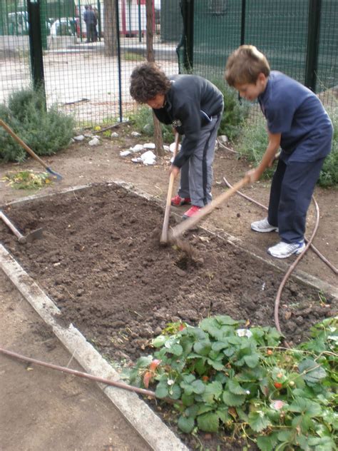 El Huerto Ecol Gico De Nuestro Cole Humus De Lombriz