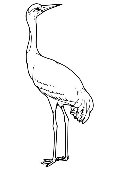 Gorgeous Crane Coloring Page - Free Printable Coloring Pages for Kids