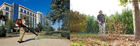 Husqvarna 350BT vs 150BT (2021): Which Leaf Blower Should You Get ...