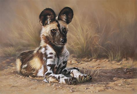 African Wild Dog