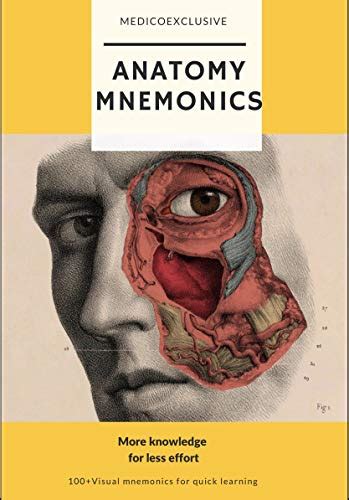 Anatomy Mnemonics More Knowledge For Less Effort Ebook Exclusive