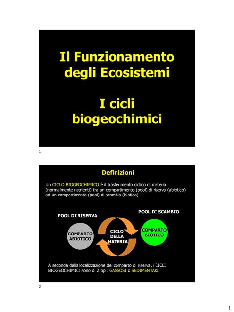 008 Cicli Biogeochimici H2O E C 2022 2023 Final Il Funzionamento