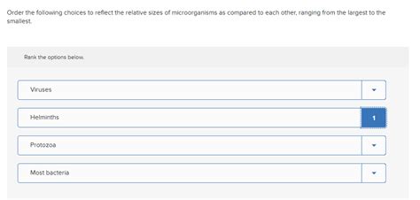 Solved Order the following choices to reflect the relative | Chegg.com 