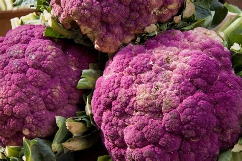 How to Grow Purple Sprouting Broccoli - Trimmed Roots