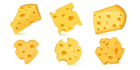 Vector 3d Realistic Set Of Fresh Nutritious Dutch Cheeses Very Tasty