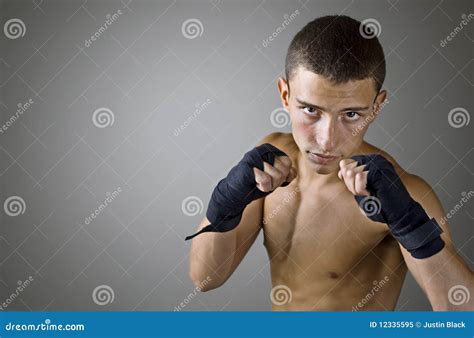 Young Boxer Stock Image | CartoonDealer.com #24995869