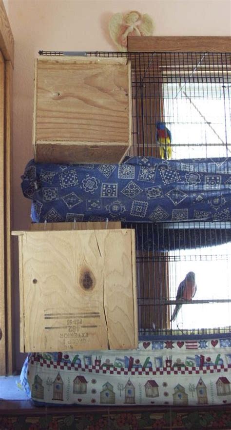 The Splendid Bourke Bird Blog A Design For Building Parakeet Nest Boxes