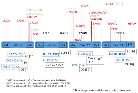 Cancers Free Full Text Molecular Mechanism Of EGFR TKI Resistance