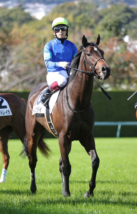 【勝羽の日曜競馬コラム・紅梅s】 日刊ゲンダイ競馬