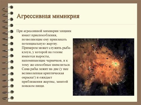Виды защитных окрасок животных - презентация онлайн