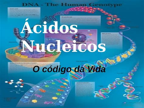 PPT Ácidos Nucleicos O código da Vida Os ácidos nucléicos são