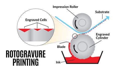 23 Rotogravure Printing Process Steps