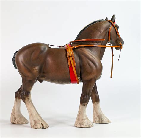 Brown Shire Horses