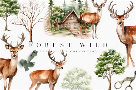 Watercolor Forest Wild Animals Collection - Design Cuts