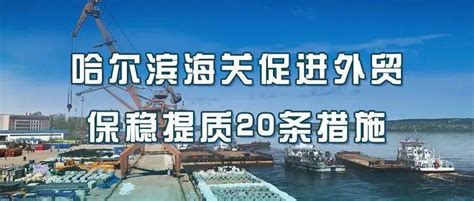 哈尔滨海关促进外贸保稳提质20条措施之货物一体化布控查验模式解读企业进口口岸