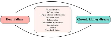 Ijms Free Full Text Chronic Kidney Disease As A Comorbidity In