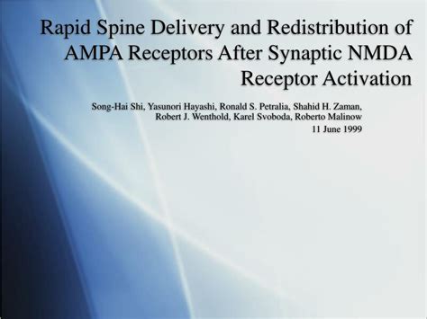 Ppt Rapid Spine Delivery And Redistribution Of Ampa Receptors After