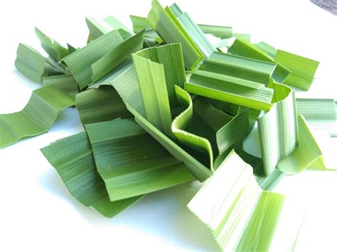 Dried Pandan Leaves 100 Natural Pandan Leaves Tasty Etsy