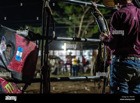 Latin Bull Rider Getting Ready Before Ride In Guatemalan Rodeo Stock