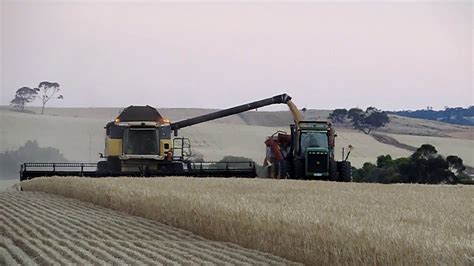 Harvesting The Grain In The Brookton Area Wa New Holland Combine