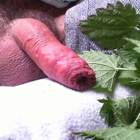 Lockdown Nettles On Cock Part Gay Porn XHamster XHamster