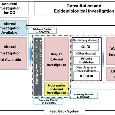 Outline Of The Process Of Recognition Of Occupational Diseases In